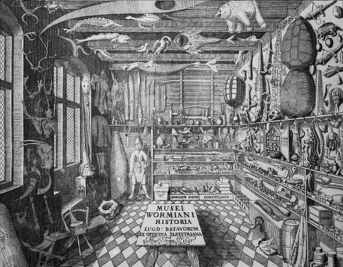 Cabinet of curiosities